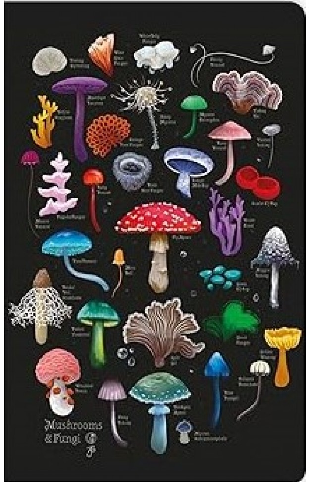 Anna Stead: Mushrooms & Fungi